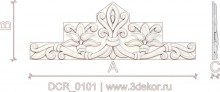 DCR_0101