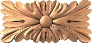 DG_0453