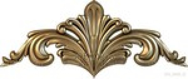 DG_0300