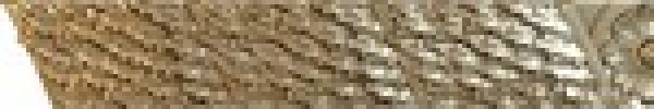 DG_0382