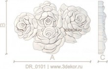 DR_0101