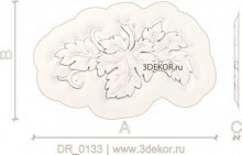 DR_0133