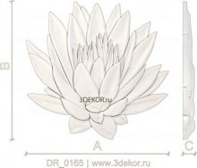 DR_0165