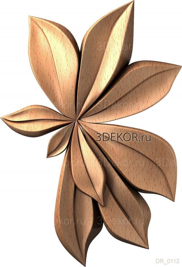 DR_0112