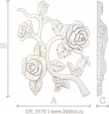 DR_0170