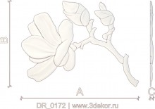 DR_0172