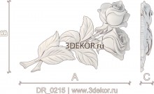 DR_0215