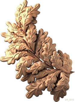 Дубовая ветвь