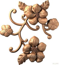 Ветка цветов