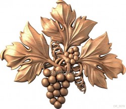 Ягоды винограда