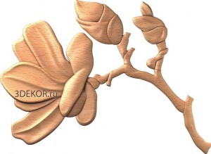 DR_0172