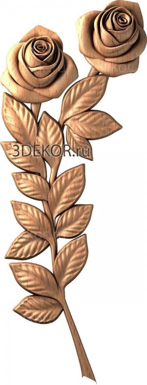 DR_0176