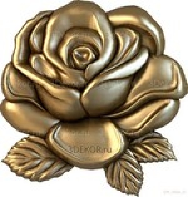 Роза