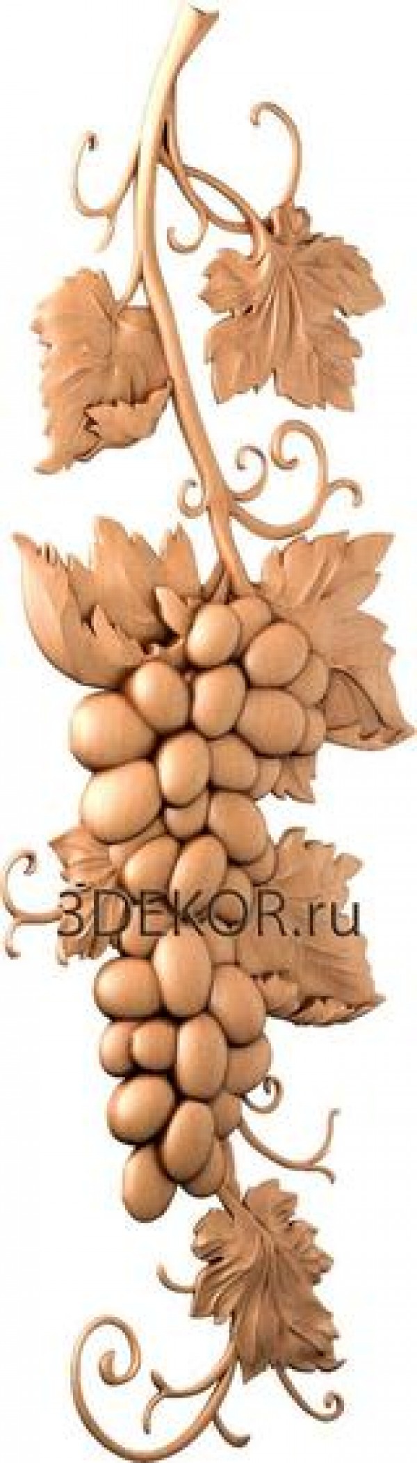 DR_0131
