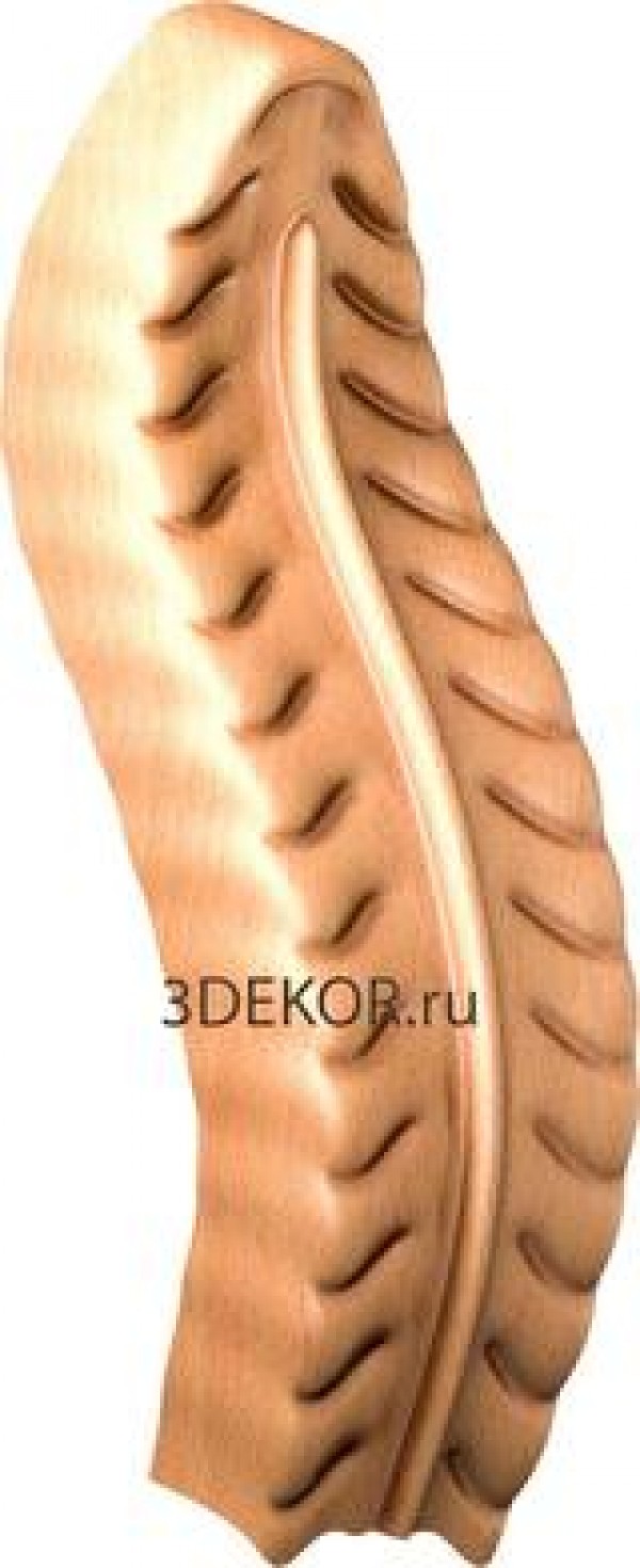 DR_0205