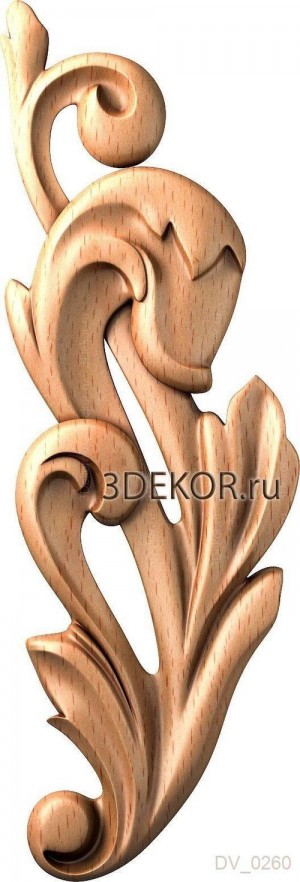 DV_0260