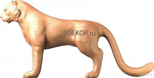 JV_0049
