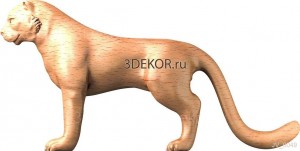 JV_0049