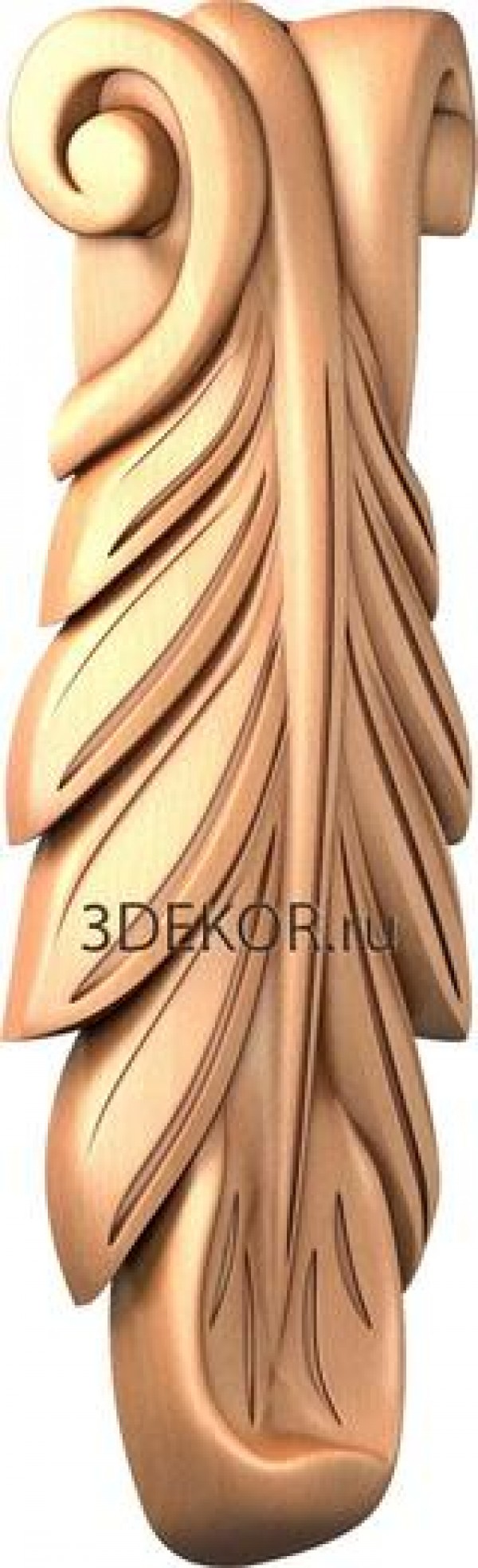 KR_0245