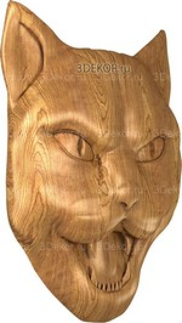 Голова кошки