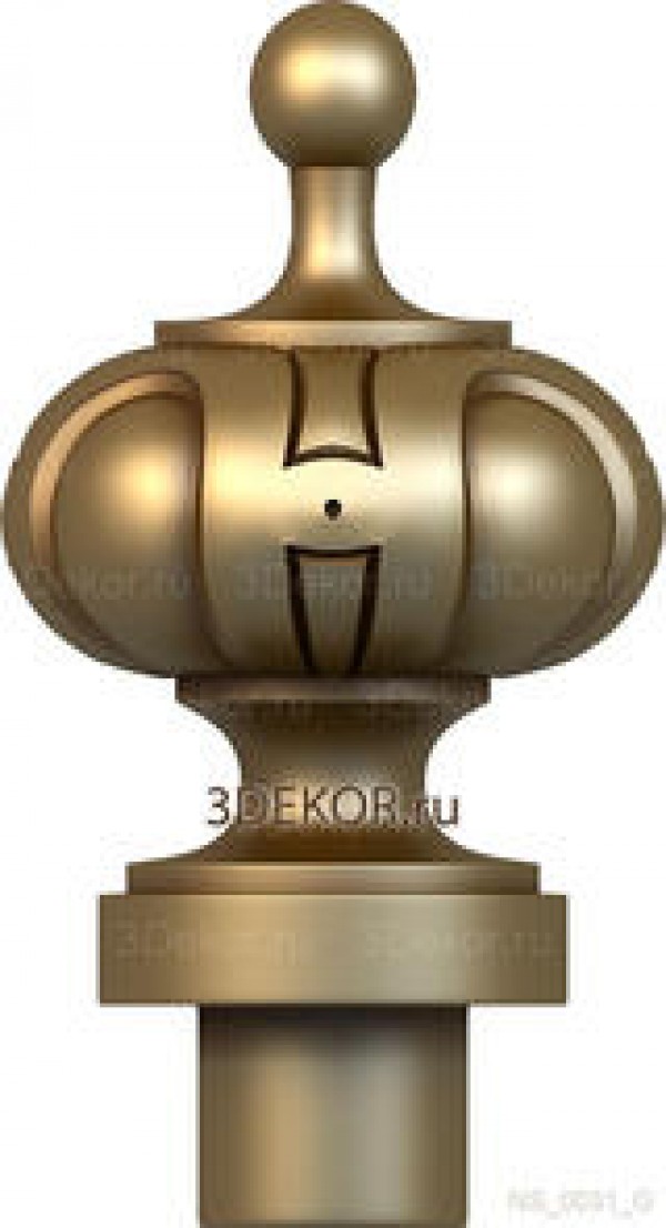 NS_0031