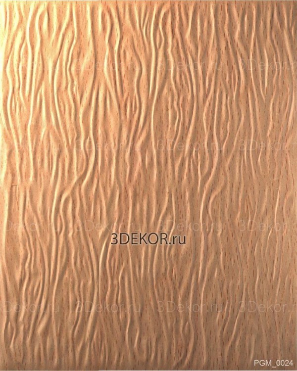 PGM_0024