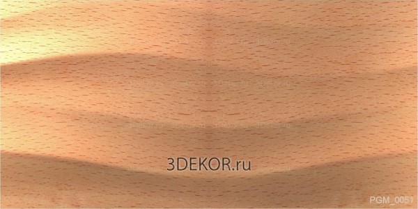 PGM_0051