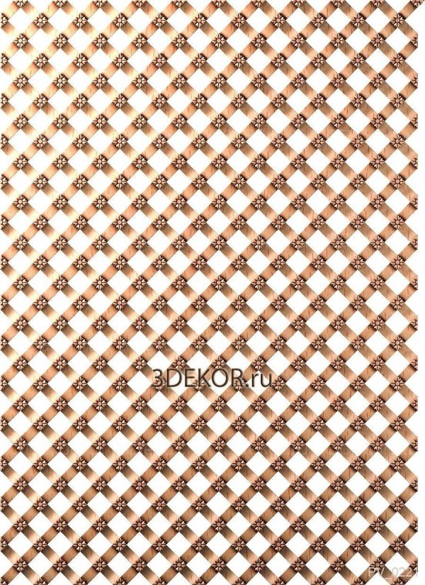 PV_0221