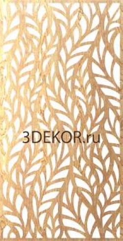 Листья папоротника