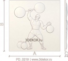 PD_0219