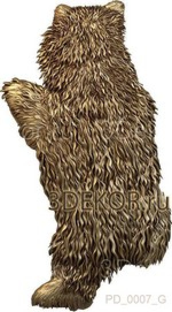 Шкура