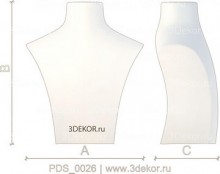 PDS_0026