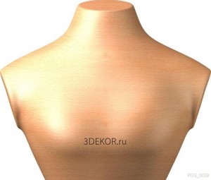 PDS_0029