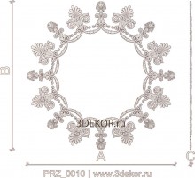 PRZ_0010
