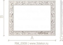 RM_0309