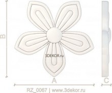 RZ_0067