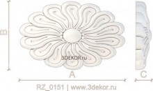 RZ_0151