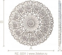 RZ_0231