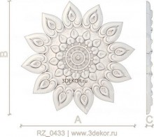 RZ_0433