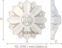 RZ_0785