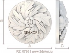 RZ_0795
