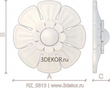 RZ_0813