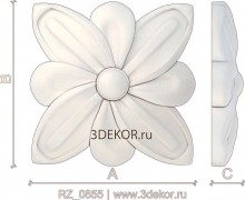 RZ_0855