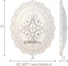 RZ_0877