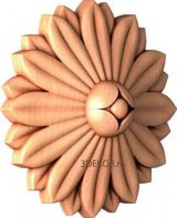 RZ_0784