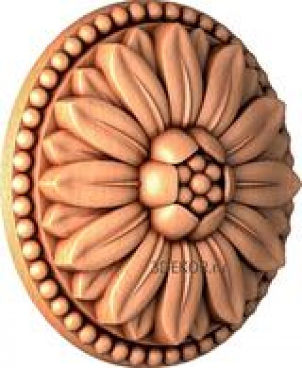 RZ_0800
