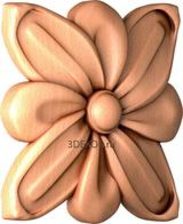 RZ_0855