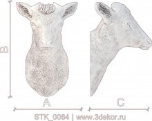 STK_0064