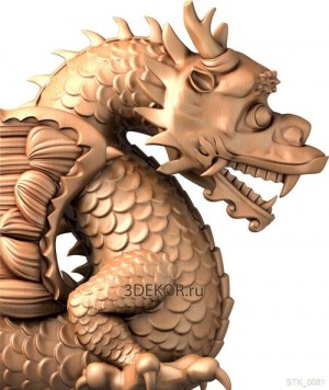 STK_0081