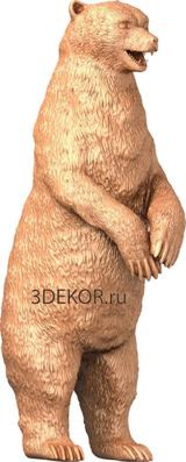 STK_0062